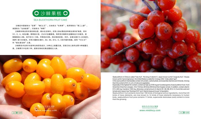 文章附图