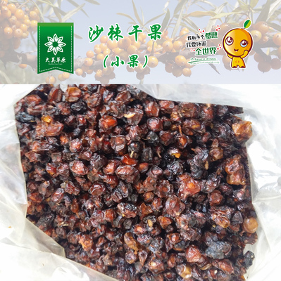 沙棘小果